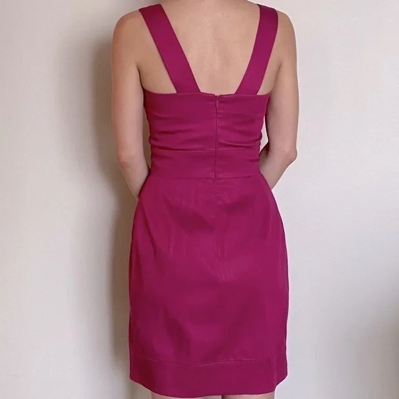 French Connection Dress in Raspberry - Picture 3 of 3